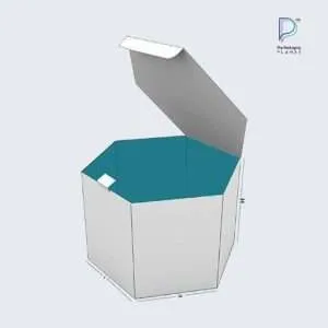 Custom Hexagon Boxes