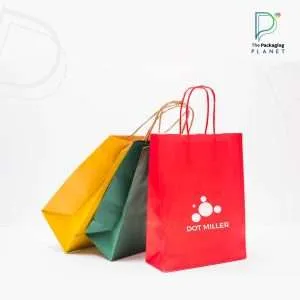 Custom Printed Paper Bags